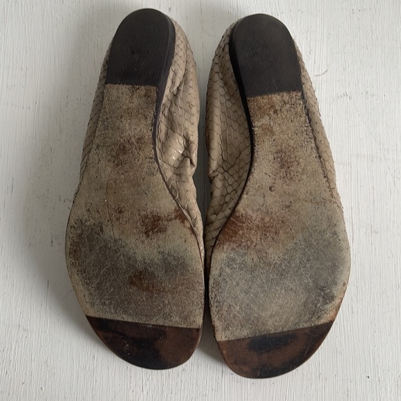 Lanvin flat Python Balerina - Picture 2 of 2